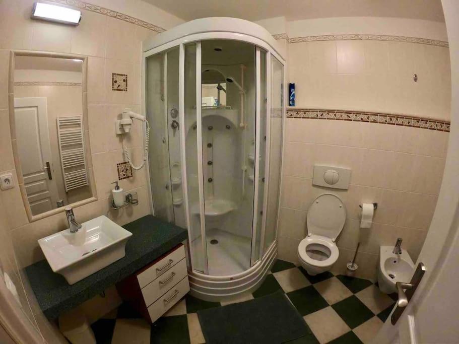 Huge Two Floor Apartment On The Park Colonnade With Free Parking For One Car, 160 Sqm Karlovy Vary Exteriér fotografie