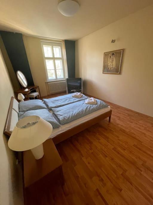 Huge Two Floor Apartment On The Park Colonnade With Free Parking For One Car, 160 Sqm Karlovy Vary Exteriér fotografie